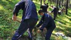 海博论坛·hibet(中国)官方网站