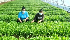 海博论坛·hibet(中国)官方网站