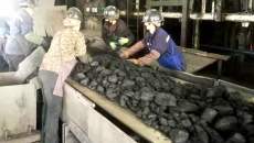 海博论坛·hibet(中国)官方网站