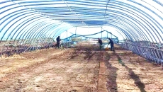 海博论坛·hibet(中国)官方网站