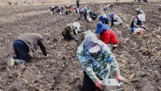 海博论坛·hibet(中国)官方网站