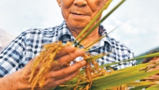 海博论坛·hibet(中国)官方网站