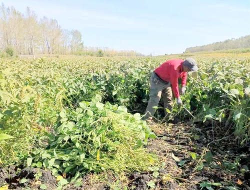 微信图片_20211012131750