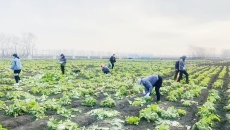 海博论坛·hibet(中国)官方网站