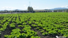 海博论坛·hibet(中国)官方网站