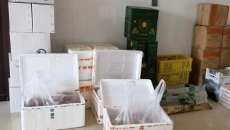 海博论坛·hibet(中国)官方网站