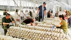 海博论坛·hibet(中国)官方网站