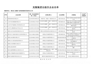 全级次企业名单 (12)
