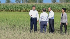 海博论坛·hibet(中国)官方网站