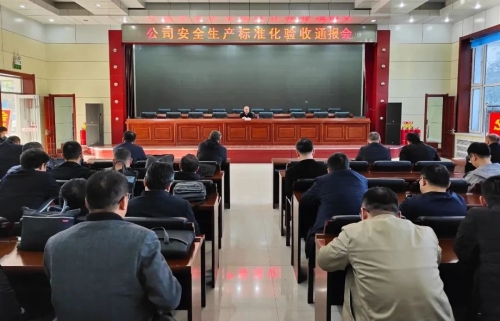 公司验收组在新安矿检查验收