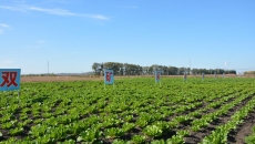 海博论坛·hibet(中国)官方网站