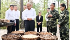 海博论坛·hibet(中国)官方网站