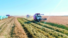 海博论坛·hibet(中国)官方网站