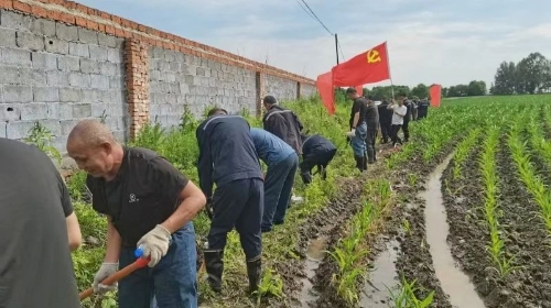 微信图片_20250706204227