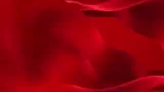 海博论坛·hibet(中国)官方网站